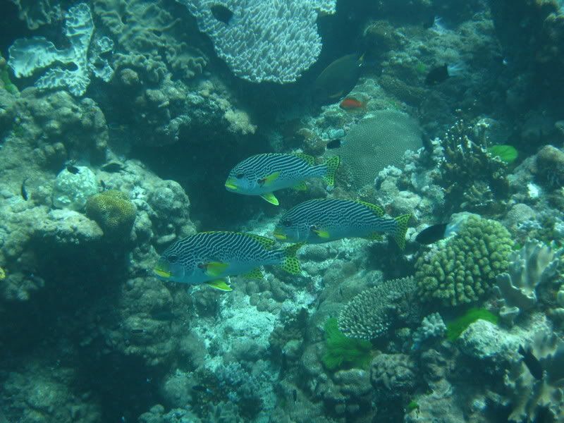 20080725_611.jpg