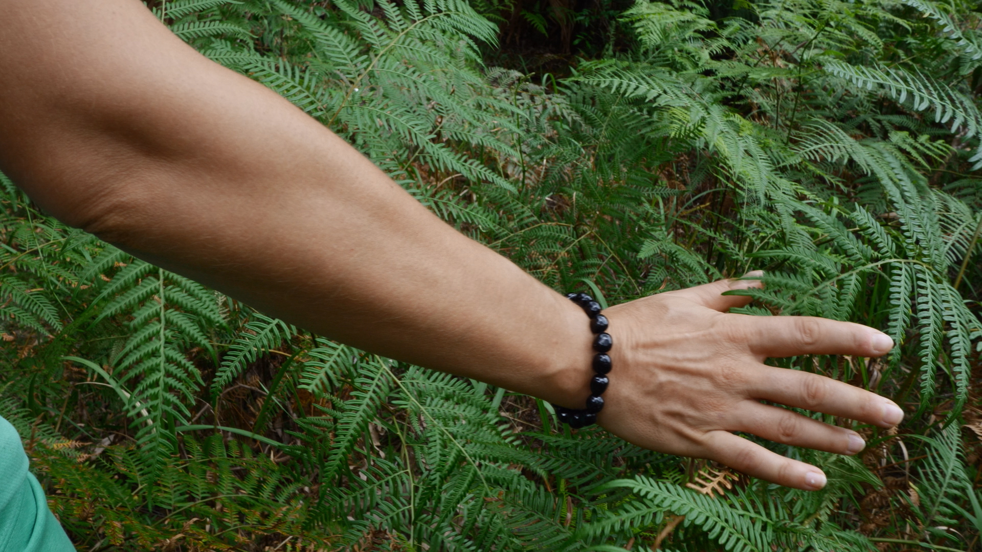5-AWARE_Monica-Gagliano-Hand-with-Fern.jpg