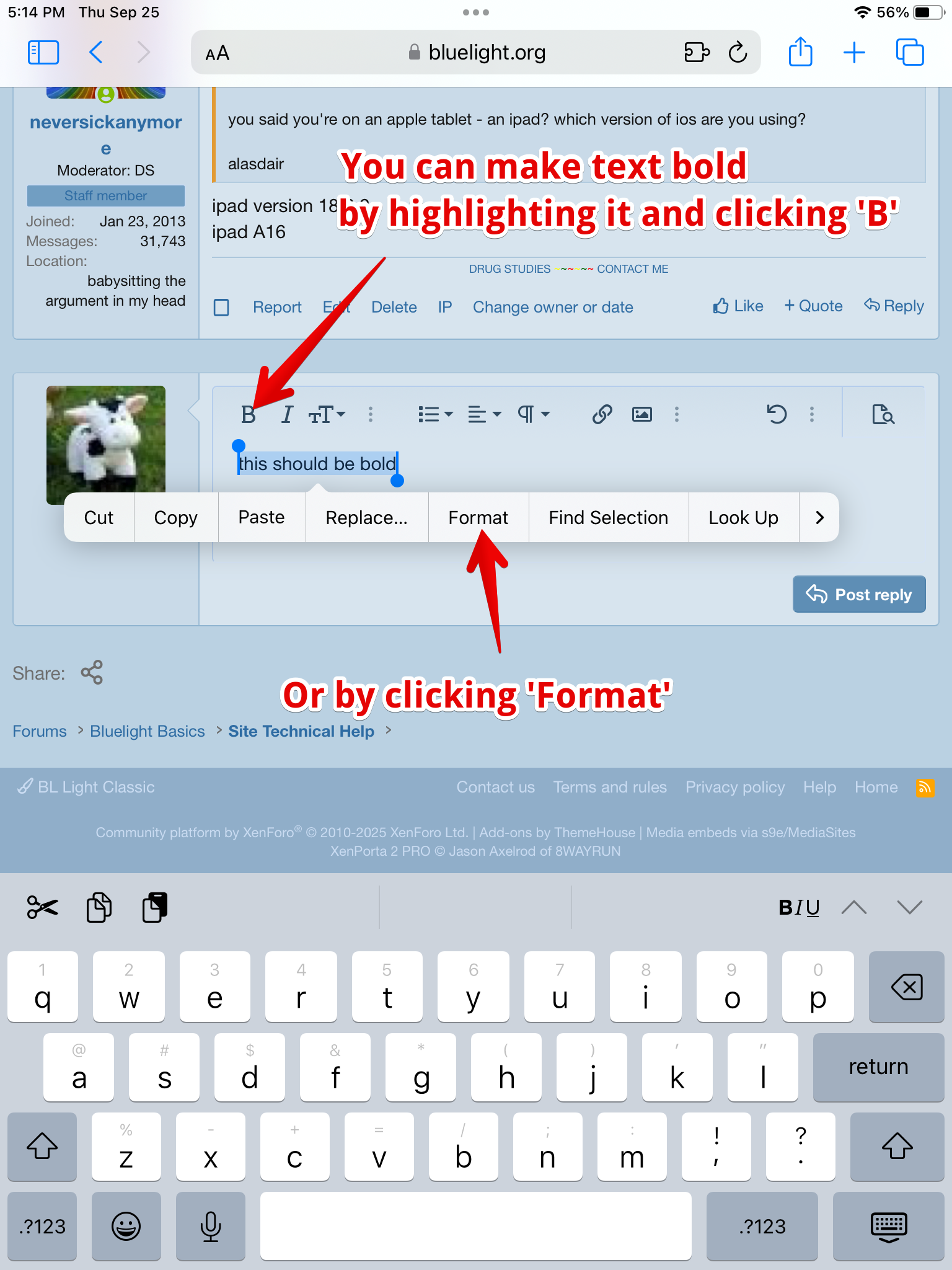 bltextformatting01.png