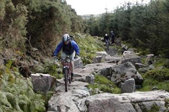 7stanes-glentress.jpg