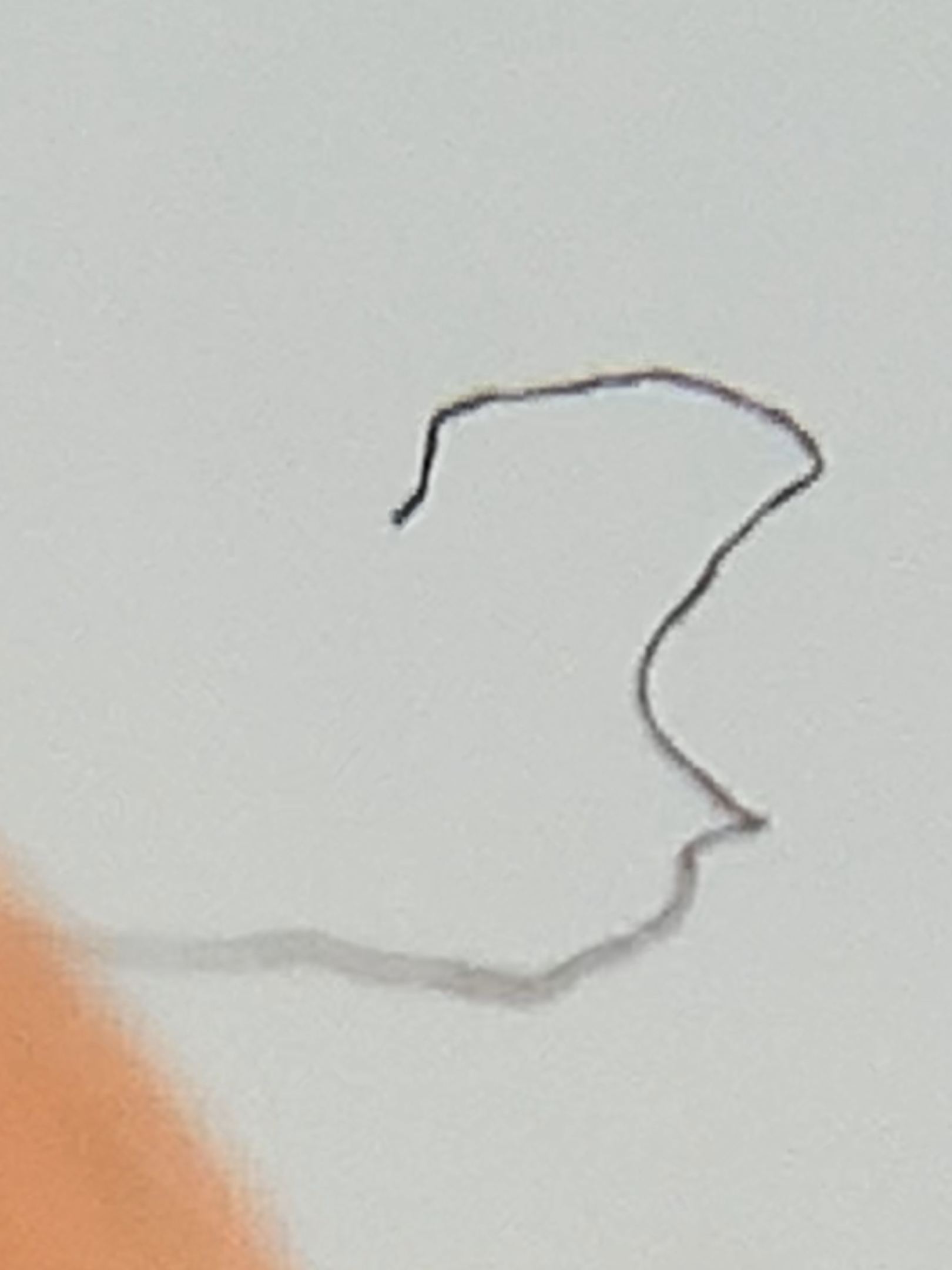 E8-D2-CD34-1-F7-D-4-FA9-8011-B389-A86958-FB.png