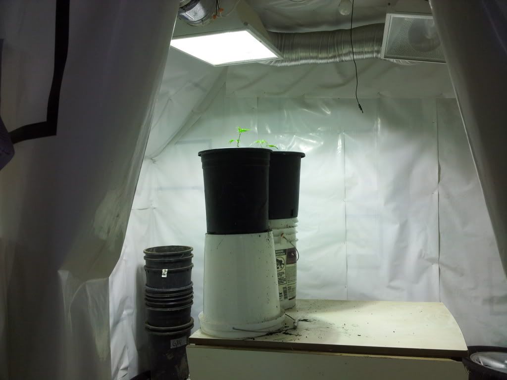 20131016_170110.jpg