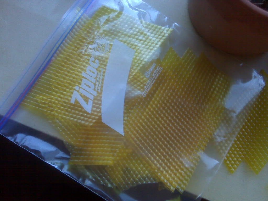 Yellow_Windows.jpg