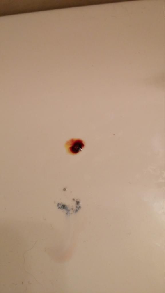 1031141607.jpg