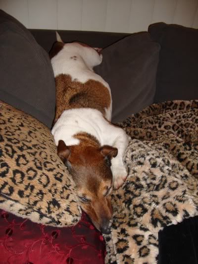 lounging2.jpg