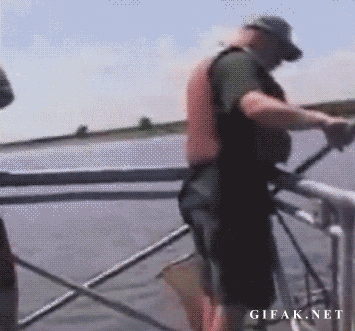 83290917.gif
