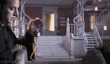 q1HF5E4.gif