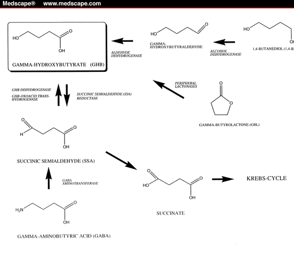 art-pharm2112.06.fig4.gif