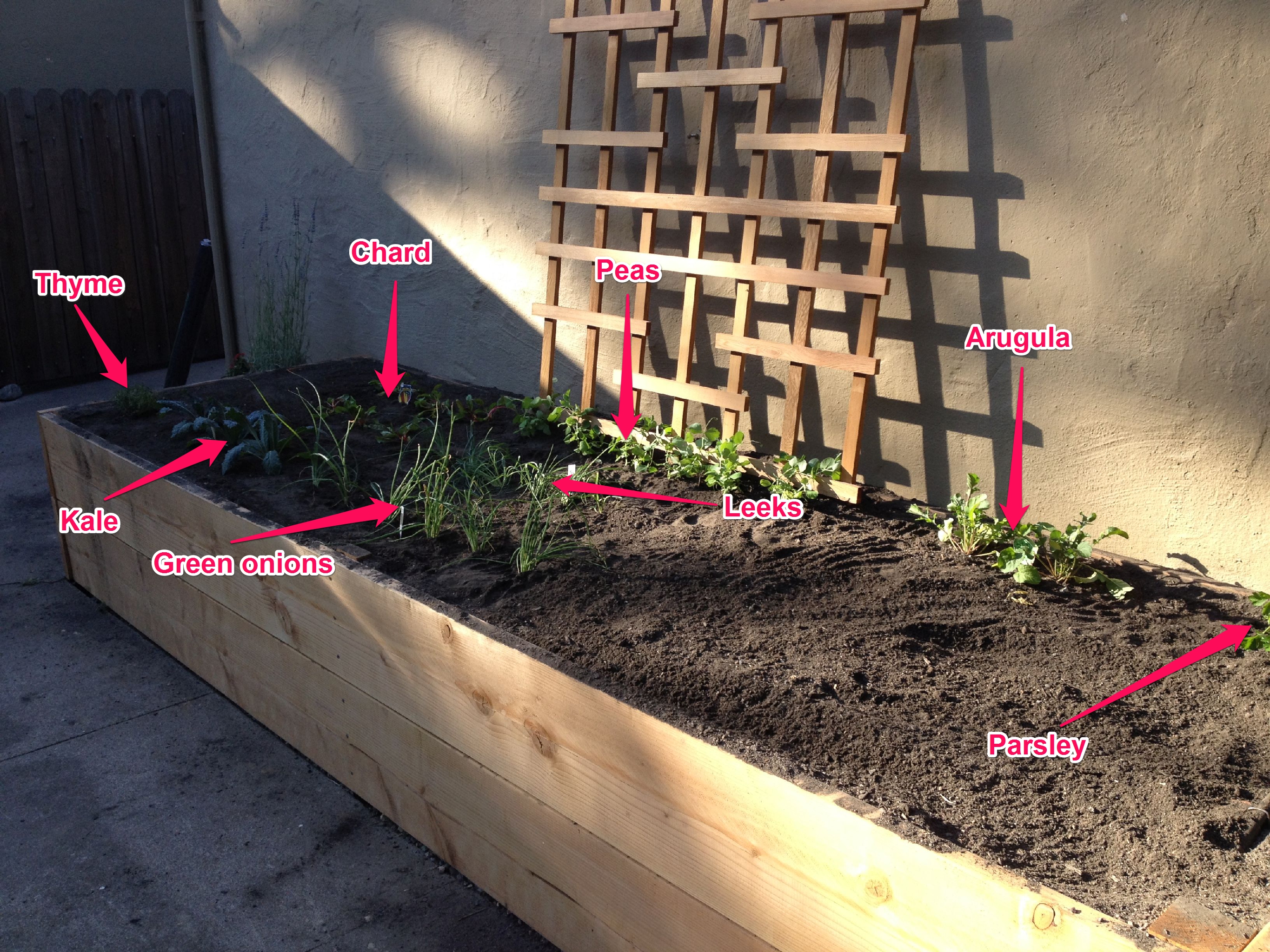 planter_crops.jpg