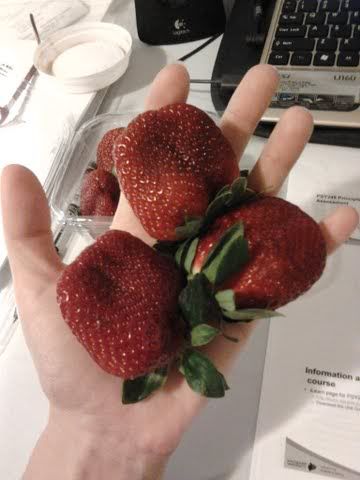 strawberries.jpg