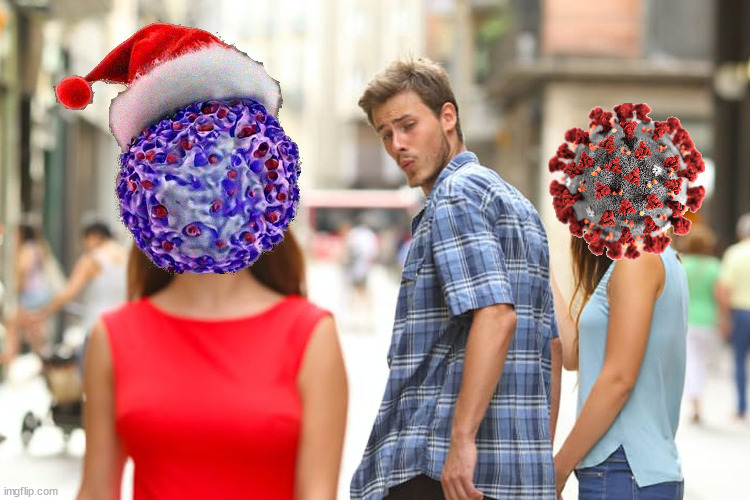 8f6qj0.jpg