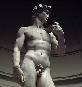503458.354david_michelangelo_orig.jpg