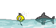 FodIz6D.gif