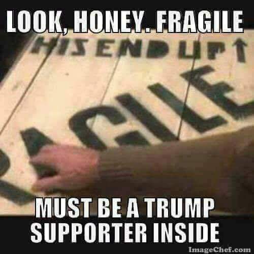 fragile.jpg