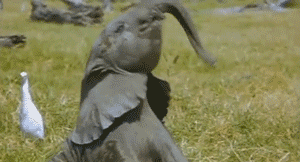 tumblr_inline_n7a4tucS6e1r2uch7.gif