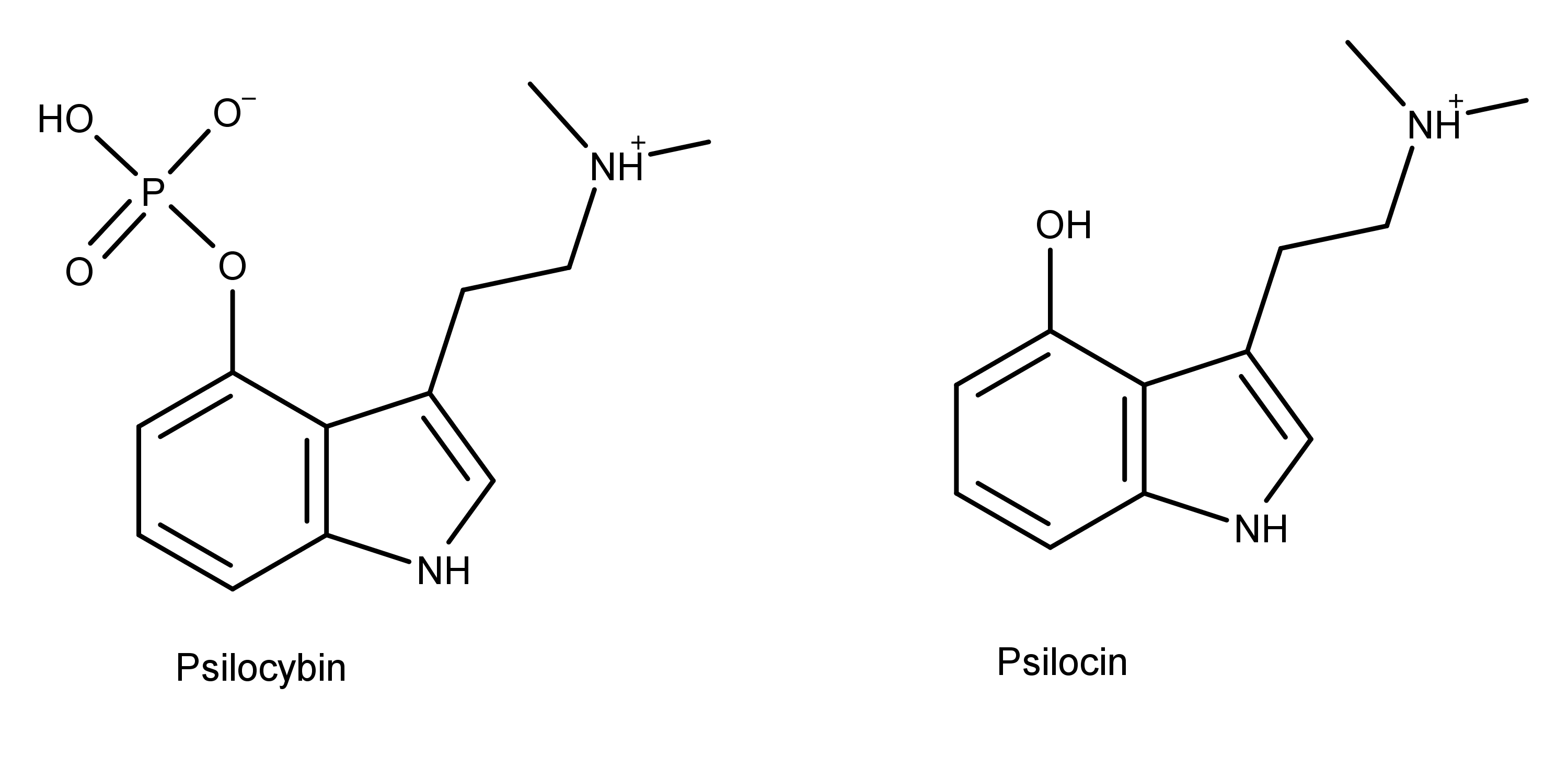 3000-psilocybin-and-psilocin.png