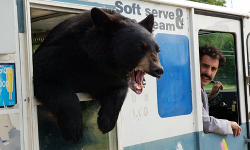 bear.jpg