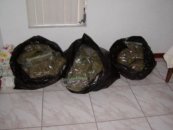 506sold_36LBS_05-med.JPG