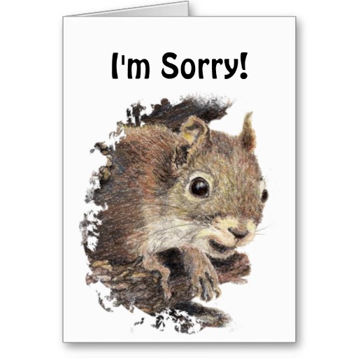 im-sorry-squirrel.jpg