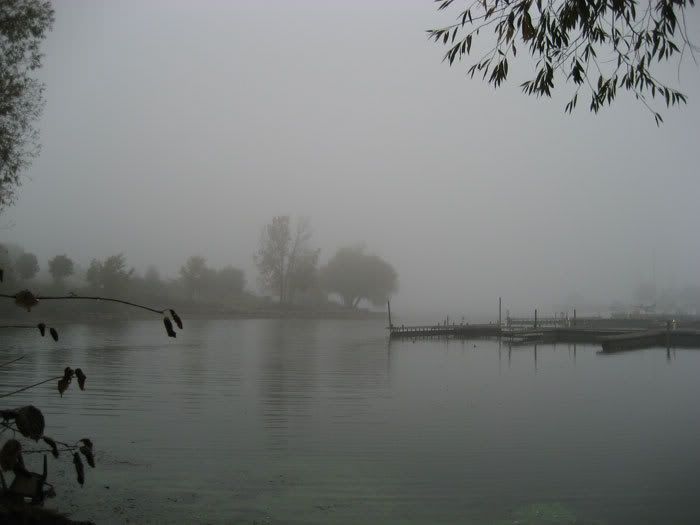 rain1.jpg