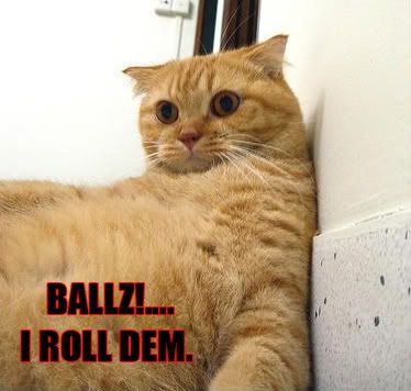 ballzcat.jpg
