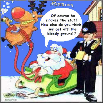 funny_christmas_13.jpg