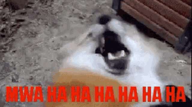 rwct3sE.gif