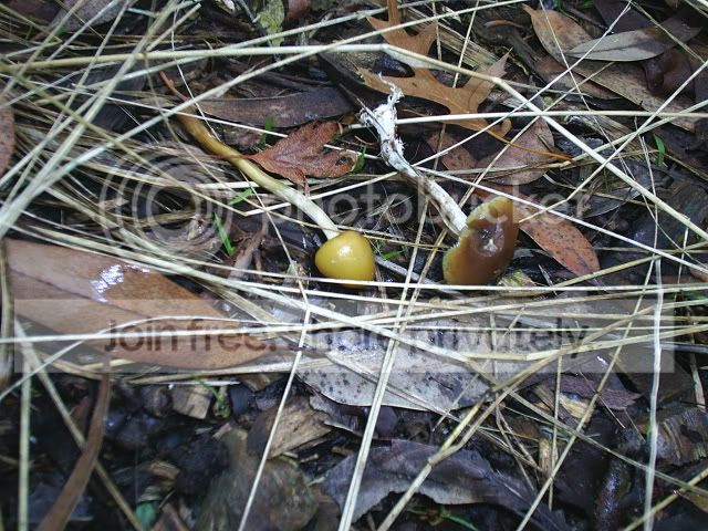 S3010099.jpg