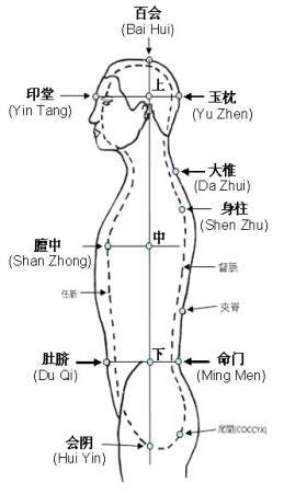 Qigong-Microcosmic-Orbit.png