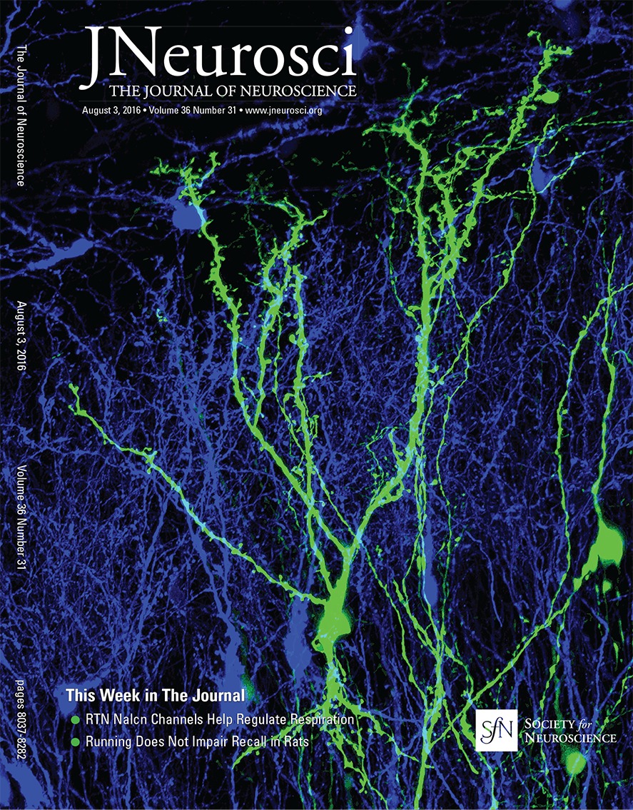 www.jneurosci.org