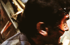 83303108.gif