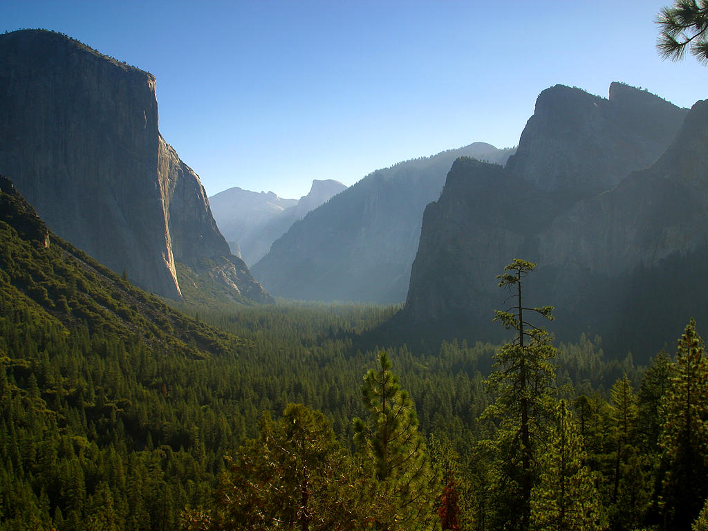 Yosemite_Morning.jpg