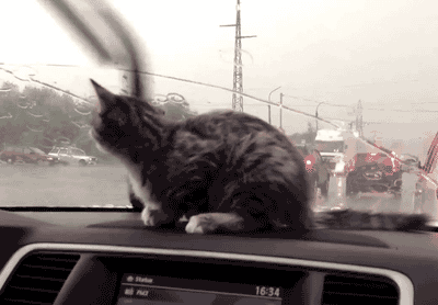 tumblr_mnifol0CSG1qbyxr0o1_400.gif