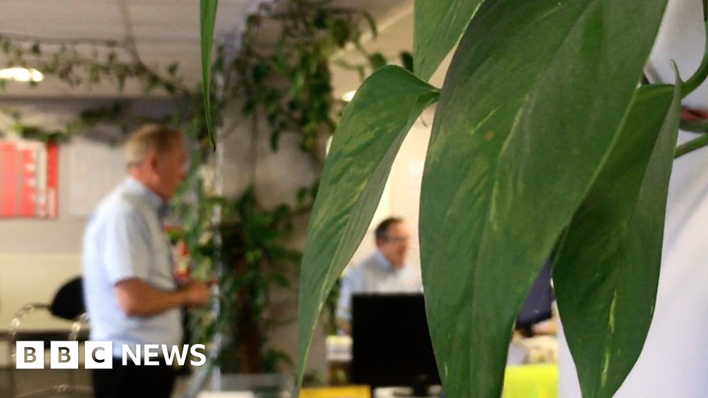 www.bbc.co.uk