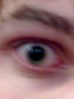 13-04-08_0239.jpg