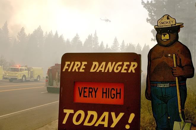 1smokeybear2.jpg