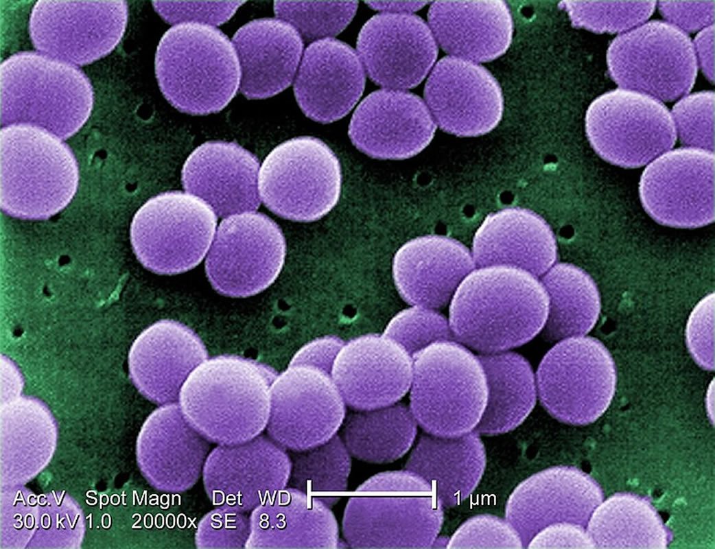 neurosciencenews.com