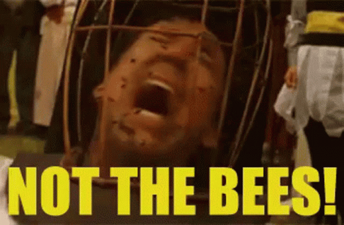 not-the-bees.gif