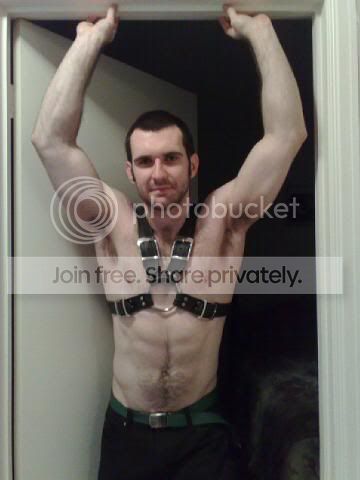 Harness.jpg
