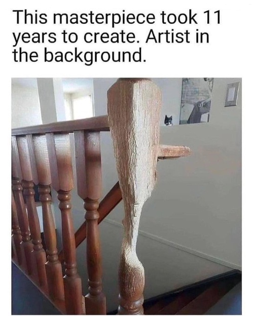 xoWfO8Q.jpeg