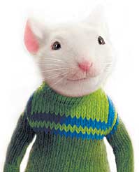 stuart-little1.jpg