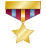 Gold-Star-Icon.png
