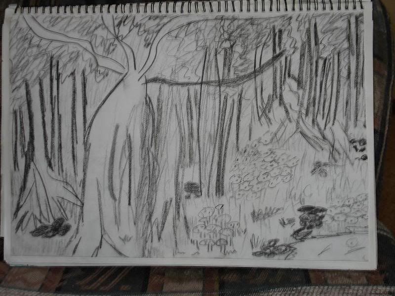 forestsketch.jpg