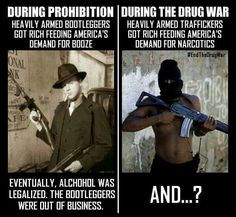 e4923e1cd2563be9b12de4b1a4157763--war-on-drugs-cannabis.jpg