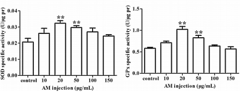 astragalusmembranaceusastragalustestosterone.gif