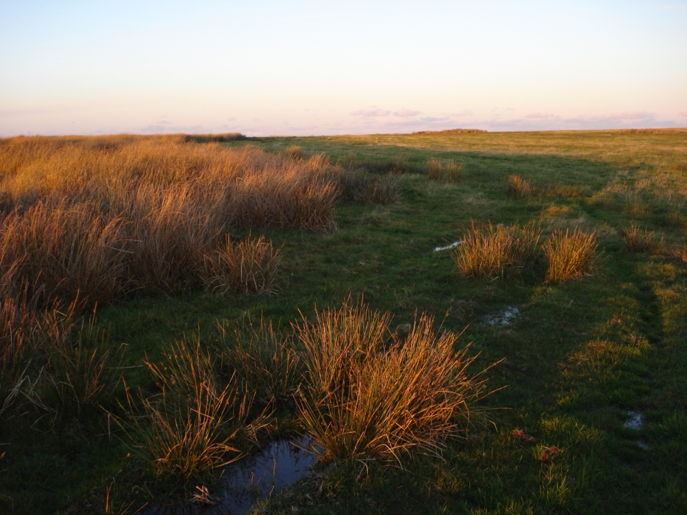 760599749-DSC07377.jpg