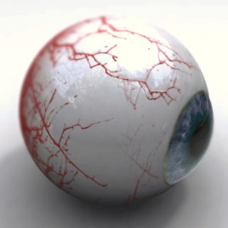 domestic-eyeball.jpg