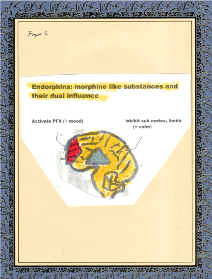 PMRR-1-117-g002.gif