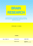 www.sciencedirect.com
