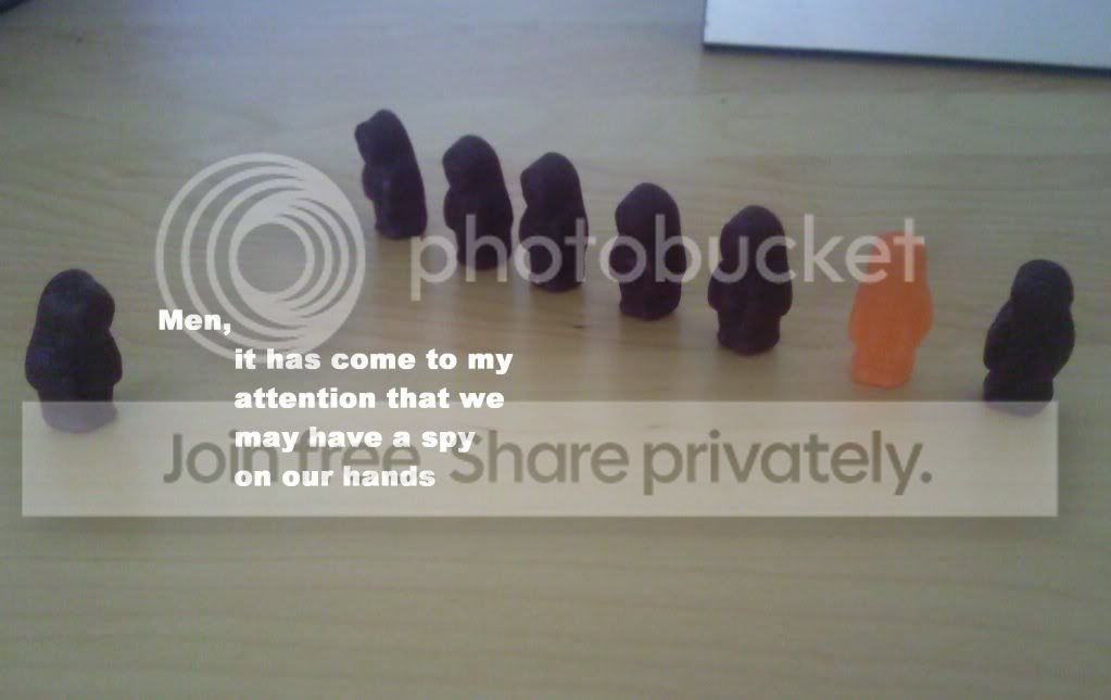 funnypicture.jpg